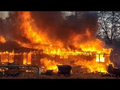 Breaking News: ⛑️ CBS News Update Chico Fire Explodes 3% Contained Friday 10 AM Butte County